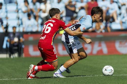 Bet 365 Today: Daily Betting Tips and Insights
